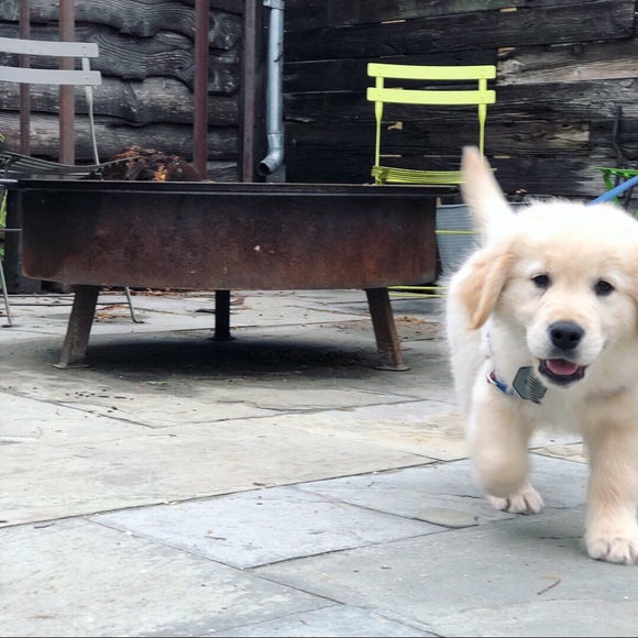 Meet your Posher, Emily - Picture 1 of 1